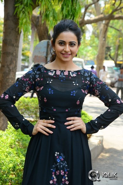 Rakul-Preet-Singh-at-Sarrainodu-Movie-Release-Press-Meet